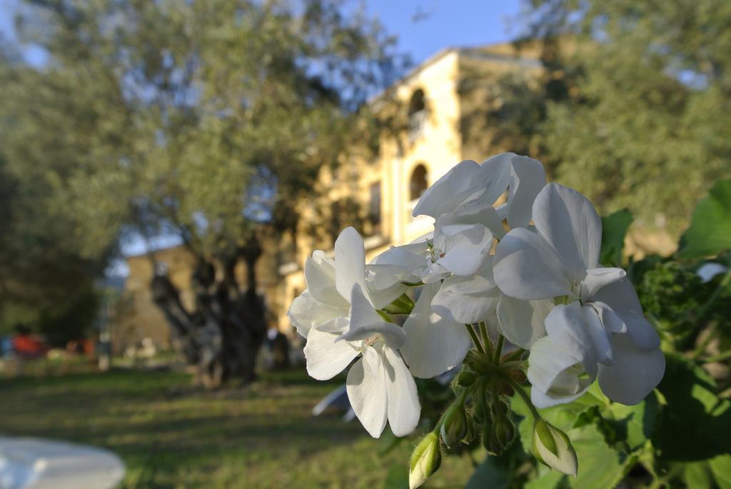 منزل الضيف Olesa de Bonesvalls  في Maset Del Garraf المظهر الخارجي الصورة