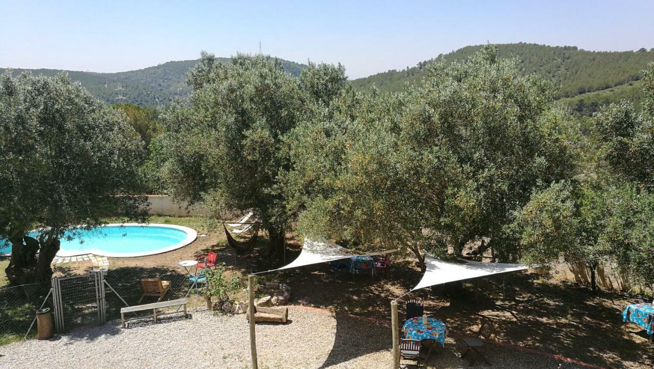 منزل الضيف Olesa de Bonesvalls  في Maset Del Garraf المظهر الخارجي الصورة